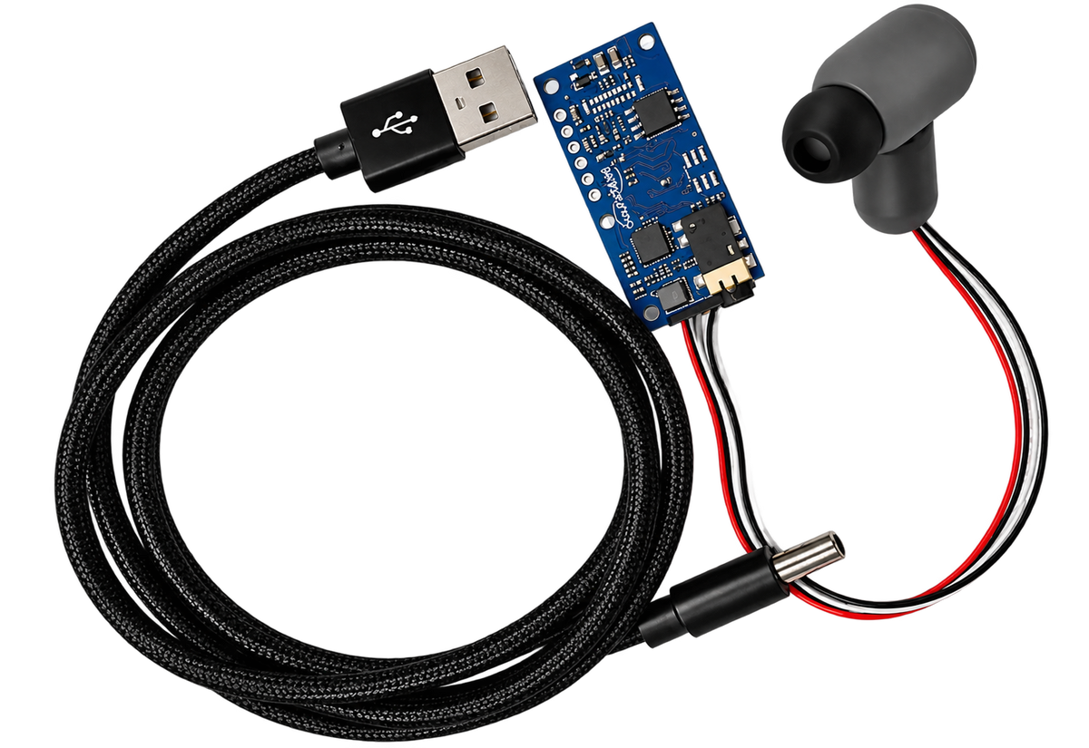 Cicada Earbuds Demo Kit
