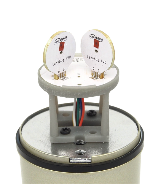 Soundskrit Beetle Board Kit