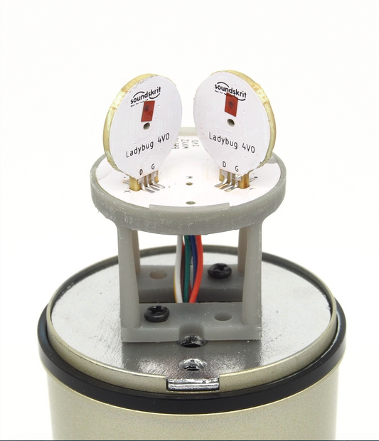 Soundskrit Beetle Board Kit
